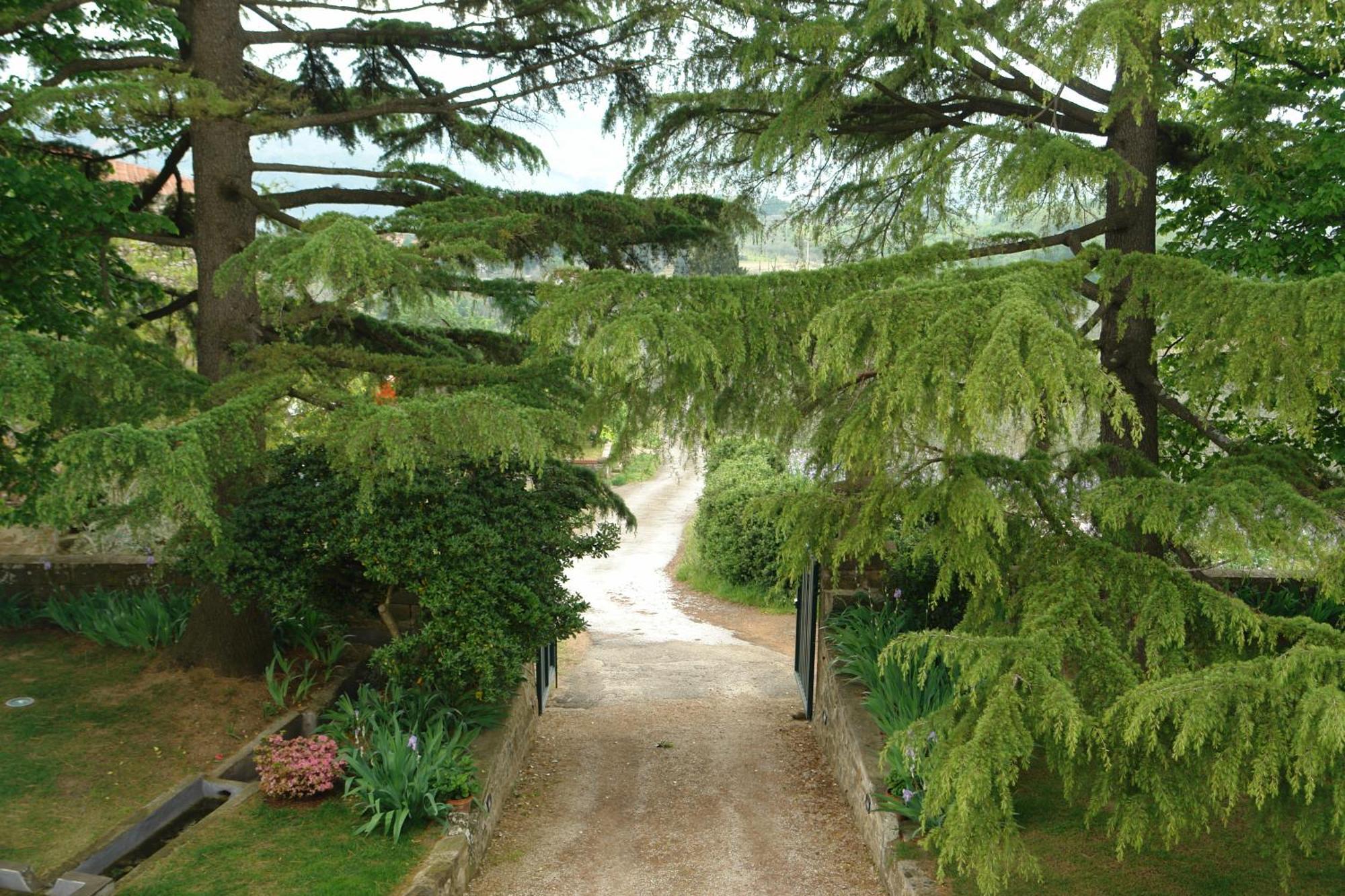 Relais Villa Belpoggio - Residenza D'Epoca Loro Ciuffenna Δωμάτιο φωτογραφία